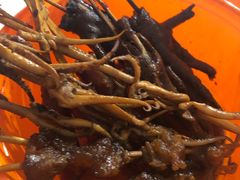 -杨姨老益阳麻辣烫(林科大店)