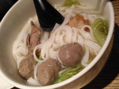 -MR鹅外
