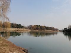 -贡湖湾湿地公园