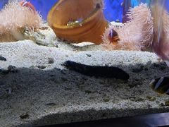 -江和美海洋公园