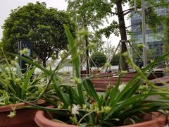 -蜀宴小调·精致家常菜(来福士店)