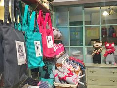 -猫咪博物馆(顶澳仔猫街店)