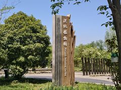 -溱湖国家湿地公园