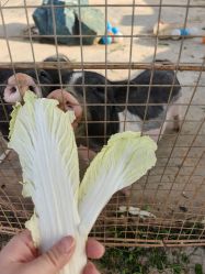 -莫莉幻想儿童乐园(武汉经开永旺店)