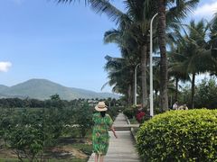 -亚龙湾国际玫瑰谷