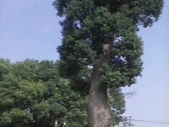 -韩湘水博园