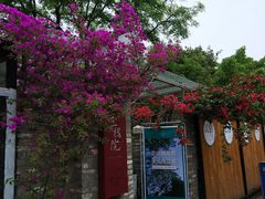 -三圣花乡旅游区