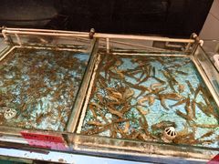 -苏浙徽·农家大院(开发区星湖101店)