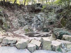 -上海佘山国家森林公园天马山园