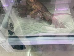 -三旗百汇商品城