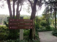 -广州市帽峰山景区