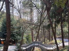 -东明山森林公园