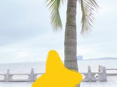 -港珠澳大桥(珠海段)