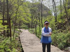 -大岭沟猕猴桃谷风景区