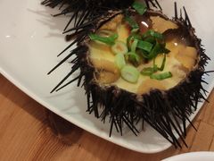 -海胆小馆(东北水饺·春柳店)