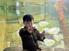 -泉城欧乐堡海洋极地世界