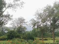 -国家植物园南园