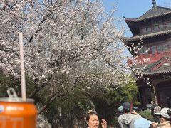 -堤角公园
