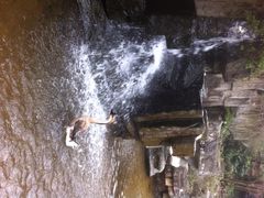 iphone_upload_pic-碧峰峡风景区