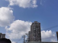-新航道雅思托福·留学·考研培训(人民广场校区)