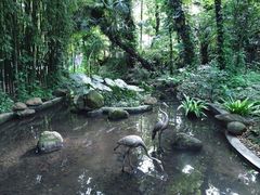 -广州兰圃