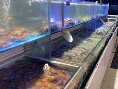 -四海蒸鲜蒸汽海鲜自助(北戴河店)