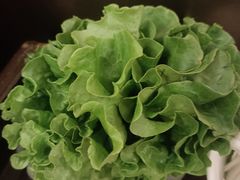 -涮福記·现切牛羊肉火锅(世纪汇店)