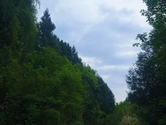 -七曲山风景区