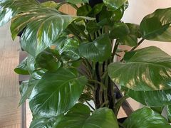 -云川台球(马甸店)