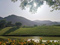 -径山花海