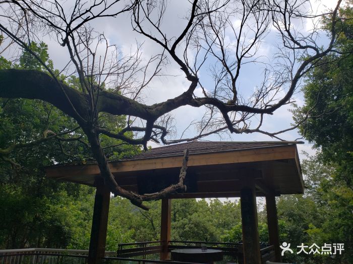 近水楼台文化农庄图片 - 第51张