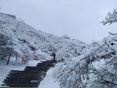 -泰山风景名胜区