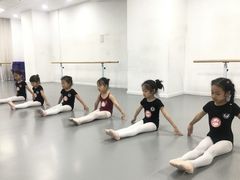 -西安小天鹅艺术团(金花路校区)