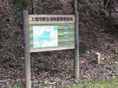 -上海佘山国家森林公园天马山园