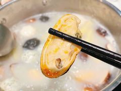 新西兰青口-喜聚薈·花膠雞海鮮火鍋(越秀店)