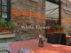 -Mammamia意大利餐厅(阳春巷店)