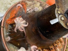 -一口猪海鲜浑锅·东北家常菜