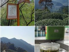 -云栖竹径