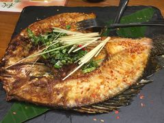 -云海肴·汽锅鸡·云南菜(天津国金汇店)