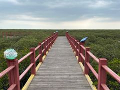 -北海金海湾红树林生态旅游区