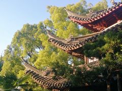-天一阁博物院