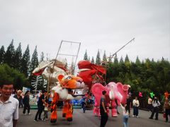 -黄海国家森林公园