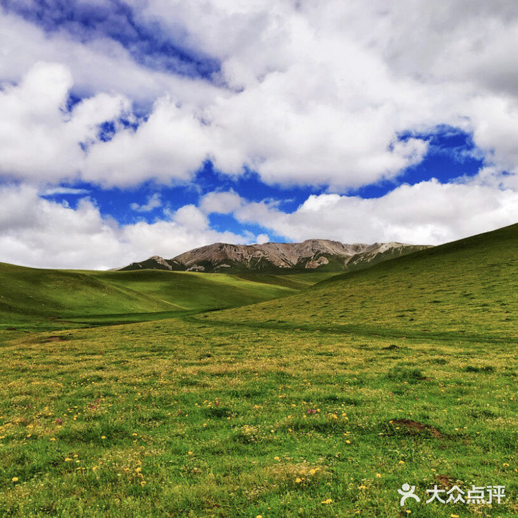 成都周边游[加油]夏季若尔盖大草原旅行
