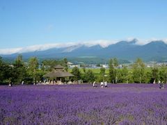 -富田农场