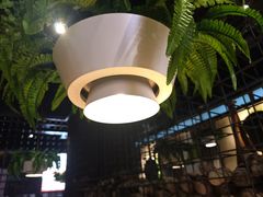 -天山醉美辣子鸡(文艺路店)