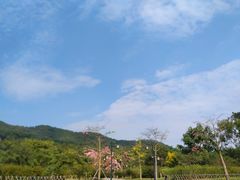 -大屏嶂森林公园