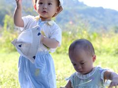 -风云岭森林公园