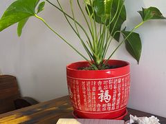 -周先生石花膏