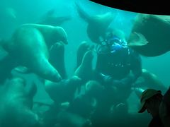 -珠海横琴国家地理探险家中心(创新方)