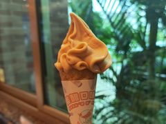 姜醋雪糕-国家五钻酒家·西樵旺阁渔村(西樵店)
